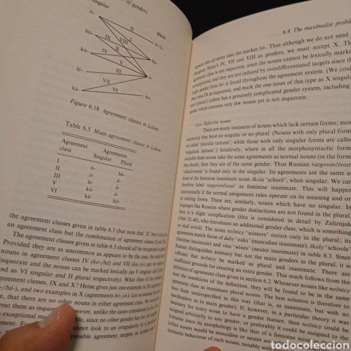 Libros de segunda mano: GENDER - GREVILLE CORBETT - CAMBRIDGE 1995 - Foto 7