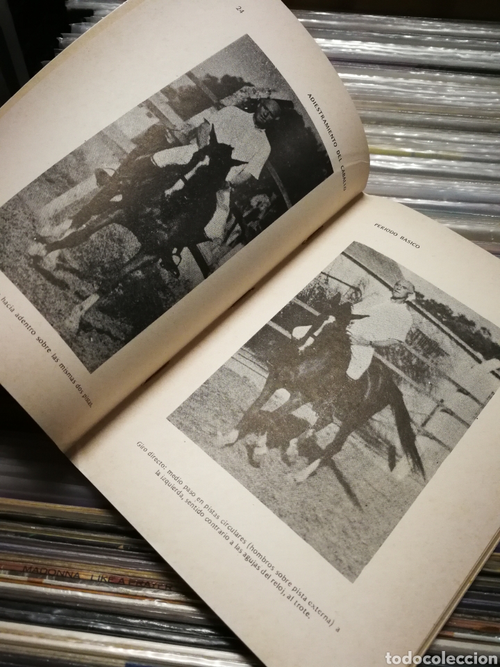 Libros de segunda mano: ADIESTRAMIENTO DEL CABALLO- H&Eacute;CTOR TOCAGNI, EDITORIAL ALBATROS. - Foto 3