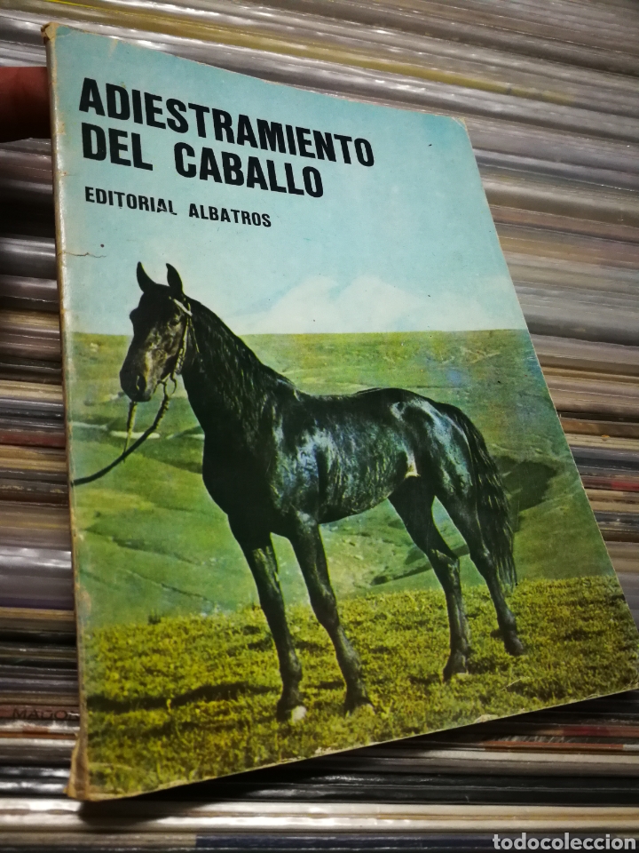 Libros de segunda mano: ADIESTRAMIENTO DEL CABALLO- H&Eacute;CTOR TOCAGNI, EDITORIAL ALBATROS. - Foto 1