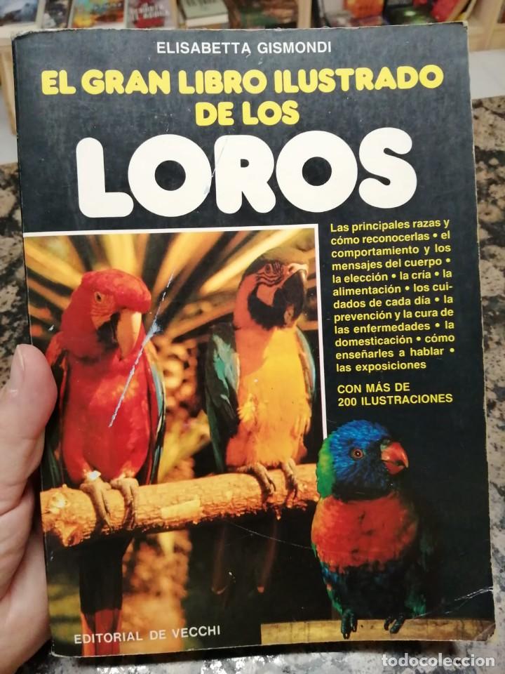 Libros de segunda mano: EL GRAN LIBRO ILUSTRADO DE LOS LOROS. ELISABETTA GISMONDI - Foto 1