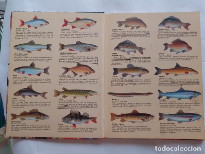 Libros de segunda mano: MIS AFICIONES: LA PESCA, DE TONY WHIELDON - Foto 2