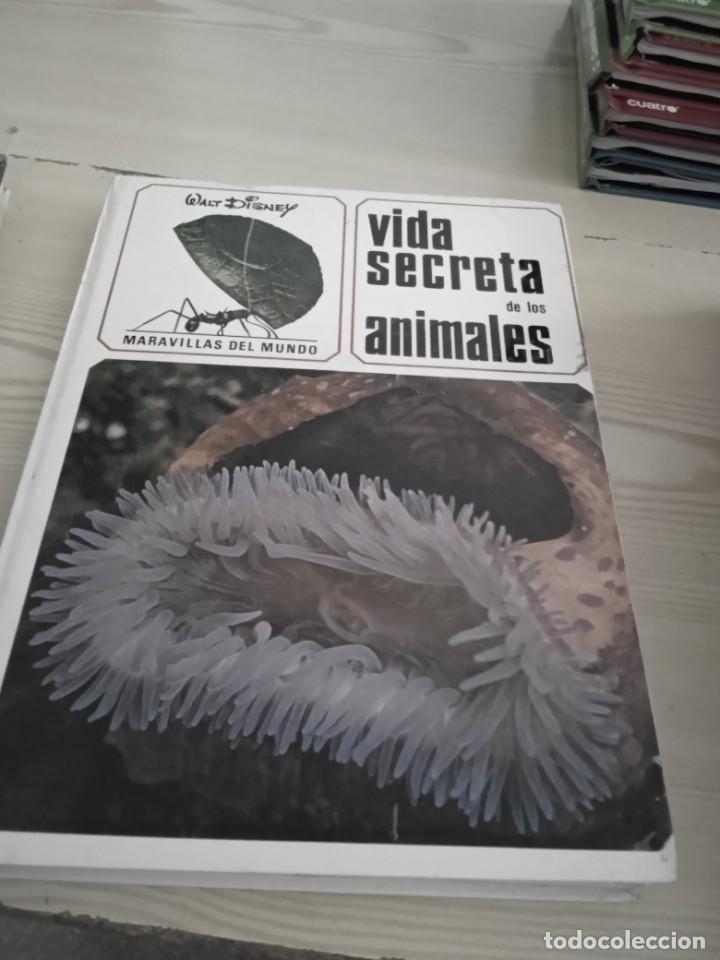 Libros de segunda mano: M- LIBRO VIDA SECRETA DE LOS ANIMALES - WALT DISNEY - EDICIONES GAISA - Foto 1