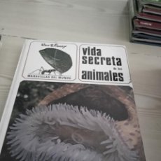 Libros de segunda mano: M- LIBRO VIDA SECRETA DE LOS ANIMALES - WALT DISNEY - EDICIONES GAISA. Lote 346401538