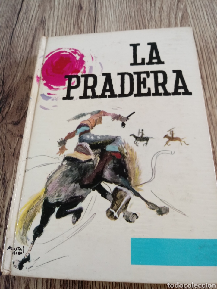 Libros de segunda mano: La Pradera de J.Fenimore Cooper - Foto 1