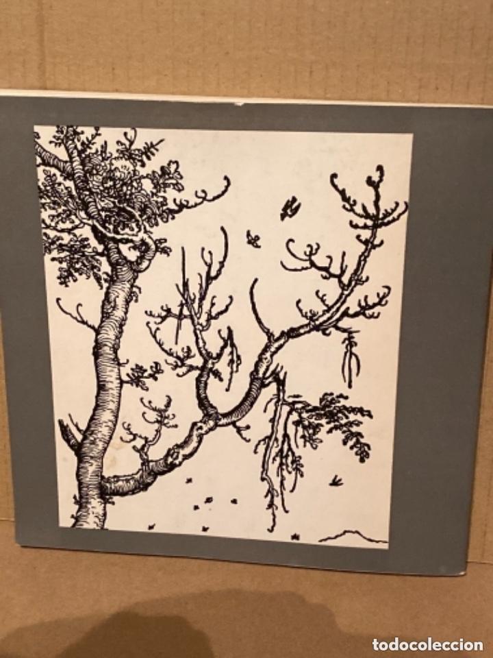 Libros de segunda mano: LIBRO CAT&Aacute;LOGO ALBRECHT D&Uuml;RER - Foto 5