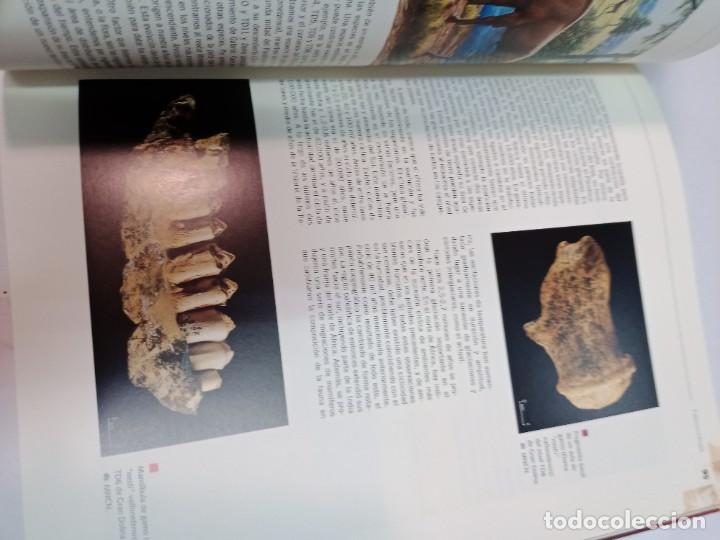 Libros de segunda mano: Atapuerca, nuestros antecesores SA9574 - Foto 2