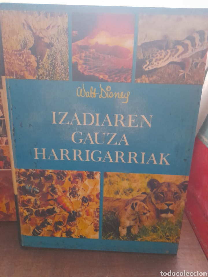 Libros de segunda mano: Walt Disney gauza harrigarriak. EUSKERA - Foto 3