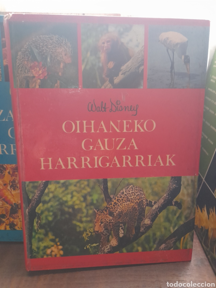 Libros de segunda mano: Walt Disney gauza harrigarriak. EUSKERA - Foto 4