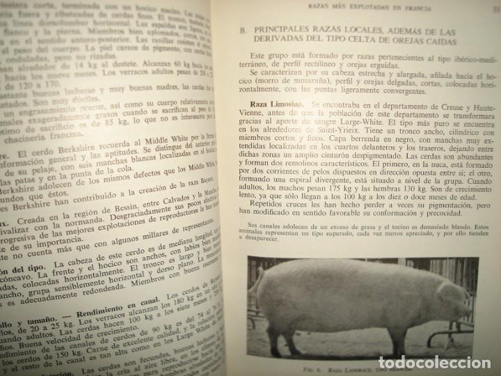 Libros de segunda mano: 160- El Cerdo - Andr&eacute; Leroy - Ediciones GEA, 1968 - Foto 9
