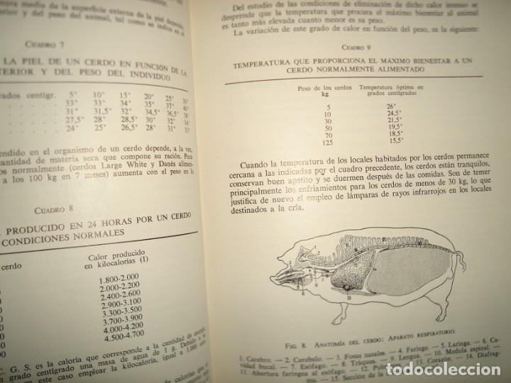 Libros de segunda mano: 160- El Cerdo - Andr&eacute; Leroy - Ediciones GEA, 1968 - Foto 10