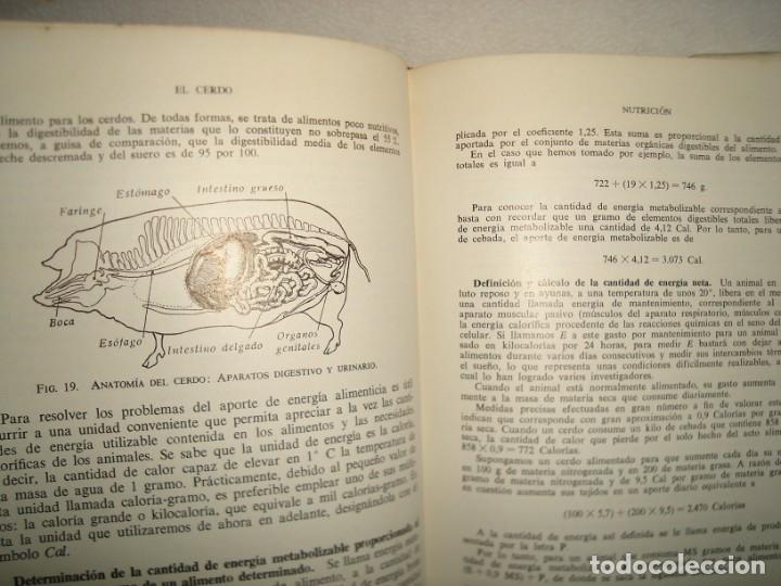 Libros de segunda mano: 160- El Cerdo - Andr&eacute; Leroy - Ediciones GEA, 1968 - Foto 11