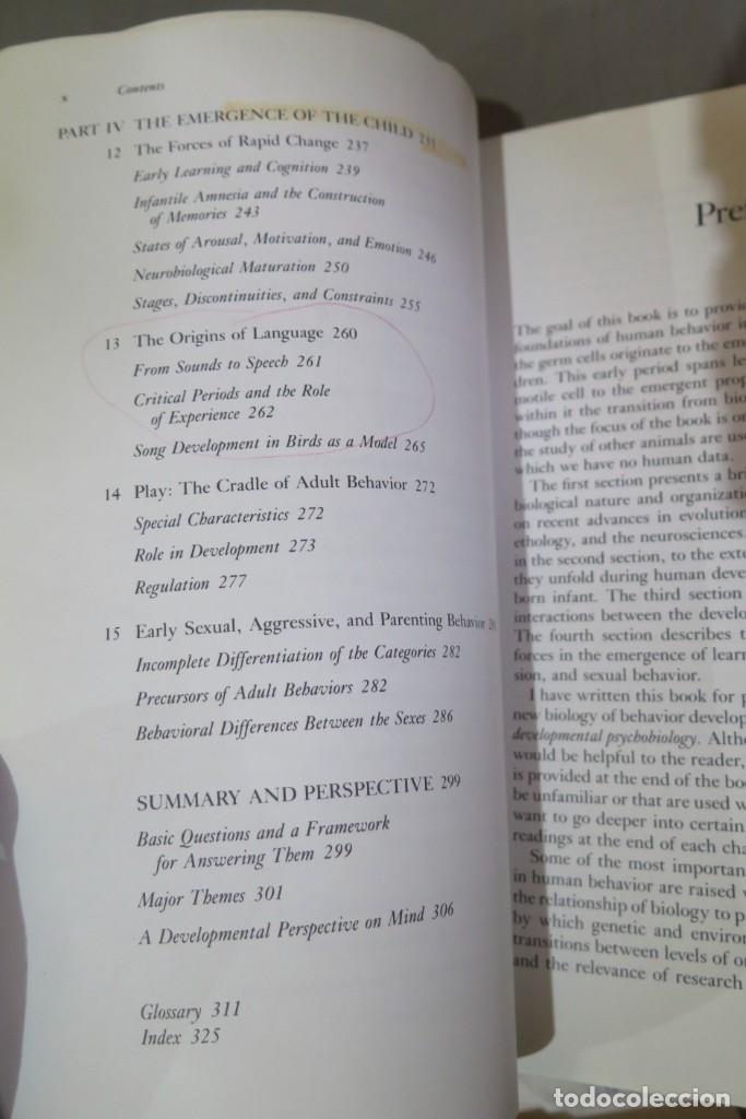 Libros de segunda mano: The Roots of Human Behavior. Hofer - Foto 5