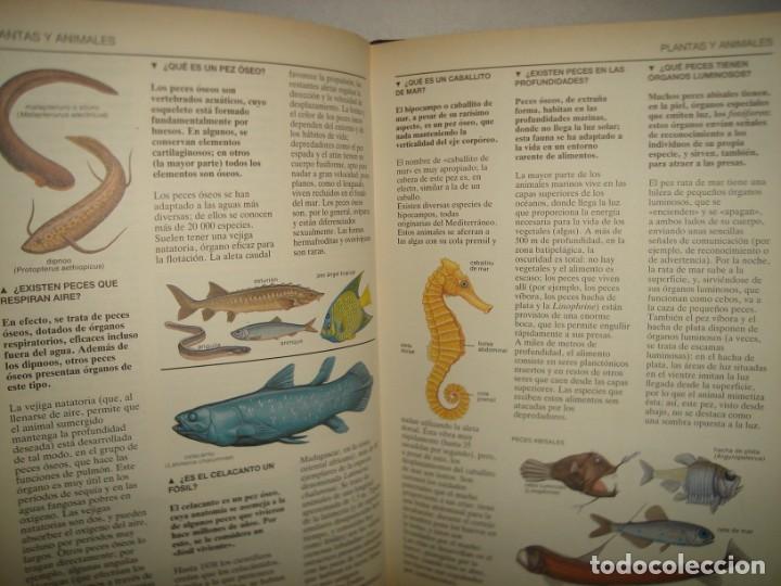 Libros de segunda mano: 20- EL UNIVERSO DE LOS J&Oacute;VENES. &iquest;QU&Eacute; ES? - Foto 5