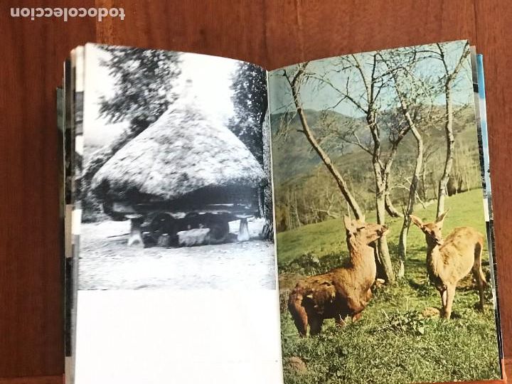 Libros de segunda mano: Alvaro Cunqueiro. Lugo. Galicia, - Foto 6