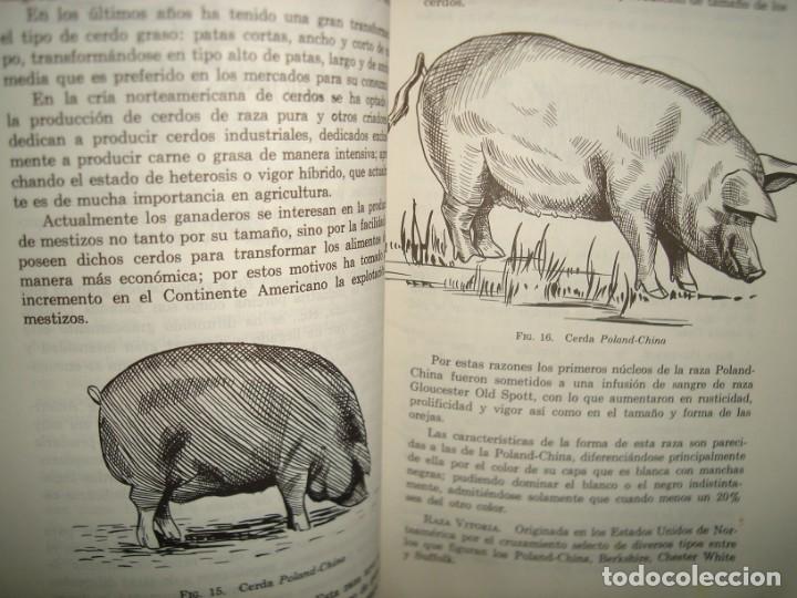 Libros de segunda mano: 22- EL CERDO. SU CR&Iacute;A Y EXPLOTACI&Oacute;N - LEOPOLDO ESCAMILLA ARCE - Foto 6