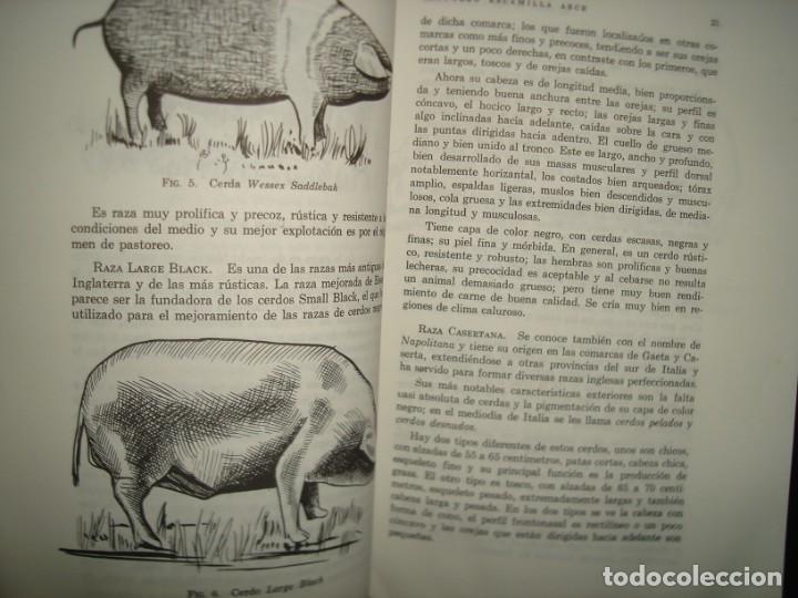 Libros de segunda mano: 22- EL CERDO. SU CR&Iacute;A Y EXPLOTACI&Oacute;N - LEOPOLDO ESCAMILLA ARCE - Foto 9