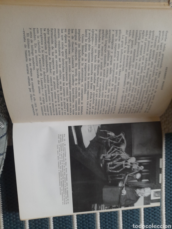Libros de segunda mano: Tras las huellas de Adan. Herbert Wendt - Foto 4