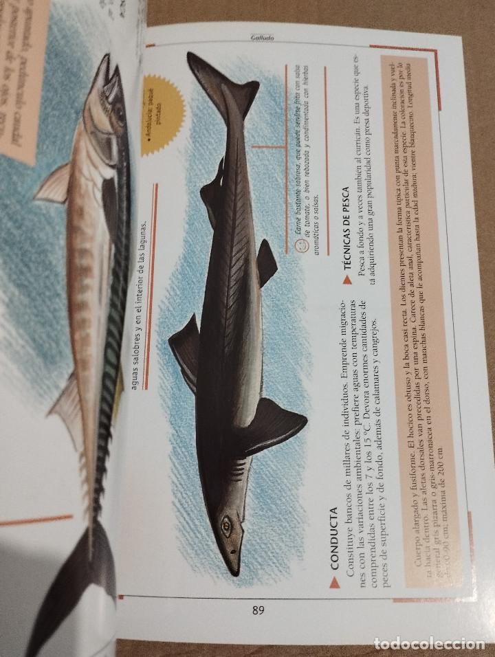 Libros de segunda mano: LA PESCA EN EL MAR. DESDE LA ORILLA Y DESDE LA BARCA (NICO FERRAN) - Foto 4