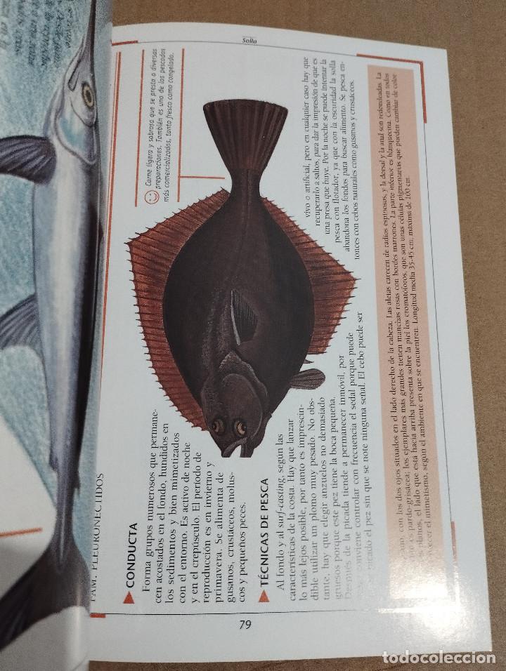Libros de segunda mano: LA PESCA EN EL MAR. DESDE LA ORILLA Y DESDE LA BARCA (NICO FERRAN) - Foto 5