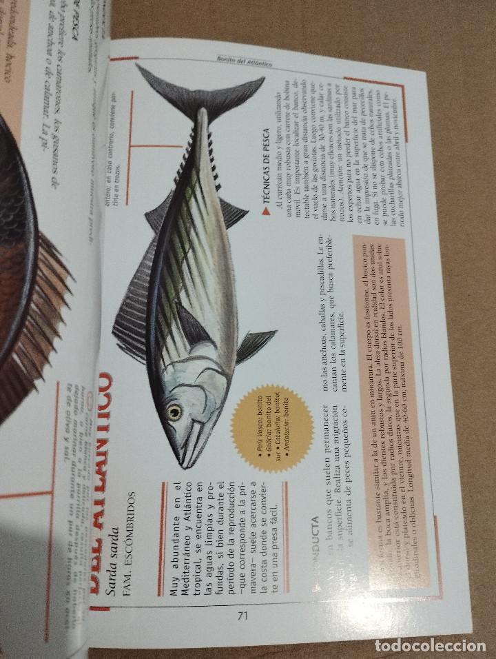 Libros de segunda mano: LA PESCA EN EL MAR. DESDE LA ORILLA Y DESDE LA BARCA (NICO FERRAN) - Foto 6