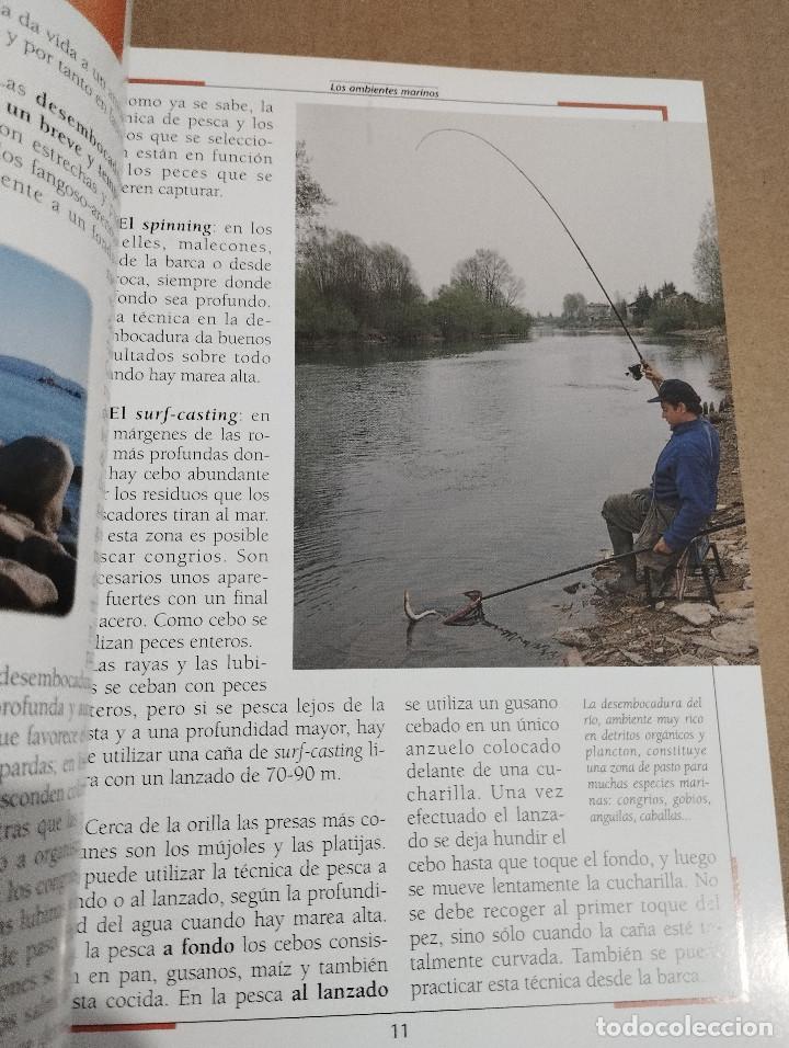 Libros de segunda mano: LA PESCA EN EL MAR. DESDE LA ORILLA Y DESDE LA BARCA (NICO FERRAN) - Foto 12