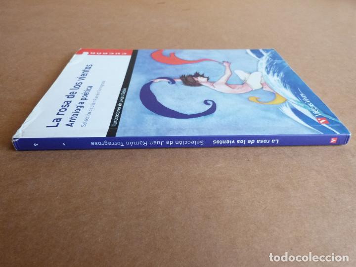 enigma libro de la rosa de los vientos juan ant - Compra venta en  todocoleccion