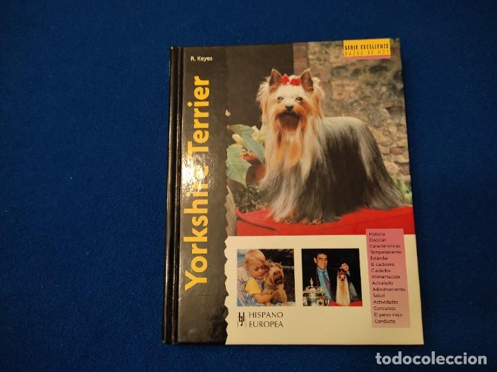 Libros de segunda mano: Yorkshire Terrier R. Keyes Ed. Hispano Europea 2008 - Foto 1