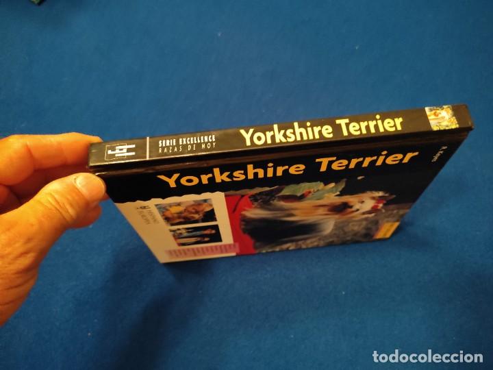 Libros de segunda mano: Yorkshire Terrier R. Keyes Ed. Hispano Europea 2008 - Foto 2