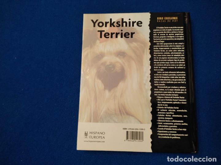 Libros de segunda mano: Yorkshire Terrier R. Keyes Ed. Hispano Europea 2008 - Foto 3