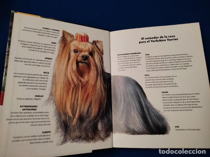Libros de segunda mano: Yorkshire Terrier R. Keyes Ed. Hispano Europea 2008 - Foto 5