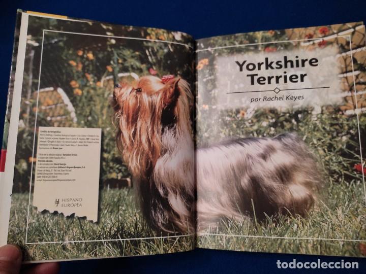 Libros de segunda mano: Yorkshire Terrier R. Keyes Ed. Hispano Europea 2008 - Foto 6