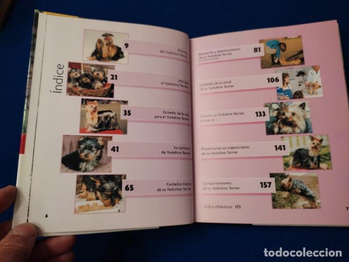 Libros de segunda mano: Yorkshire Terrier R. Keyes Ed. Hispano Europea 2008 - Foto 7