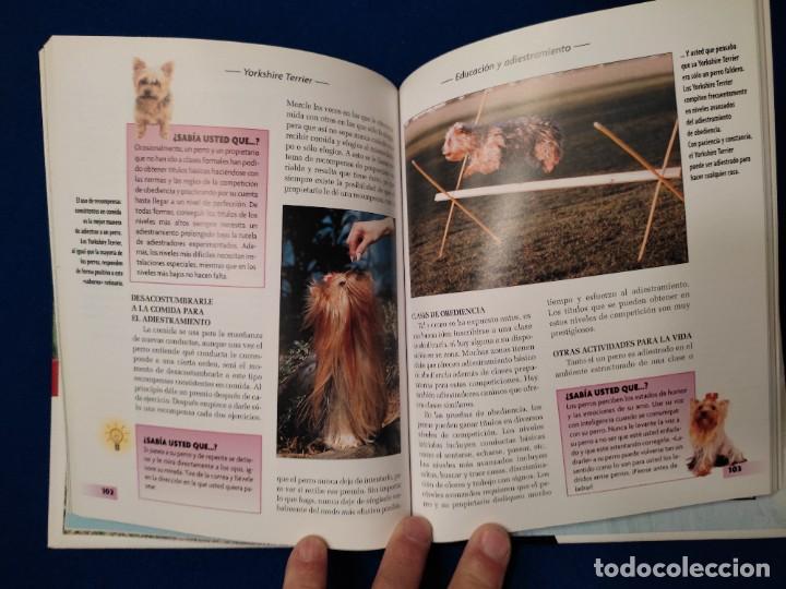 Libros de segunda mano: Yorkshire Terrier R. Keyes Ed. Hispano Europea 2008 - Foto 10