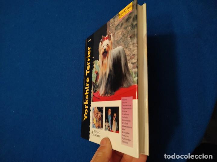 Libros de segunda mano: Yorkshire Terrier R. Keyes Ed. Hispano Europea 2008 - Foto 12