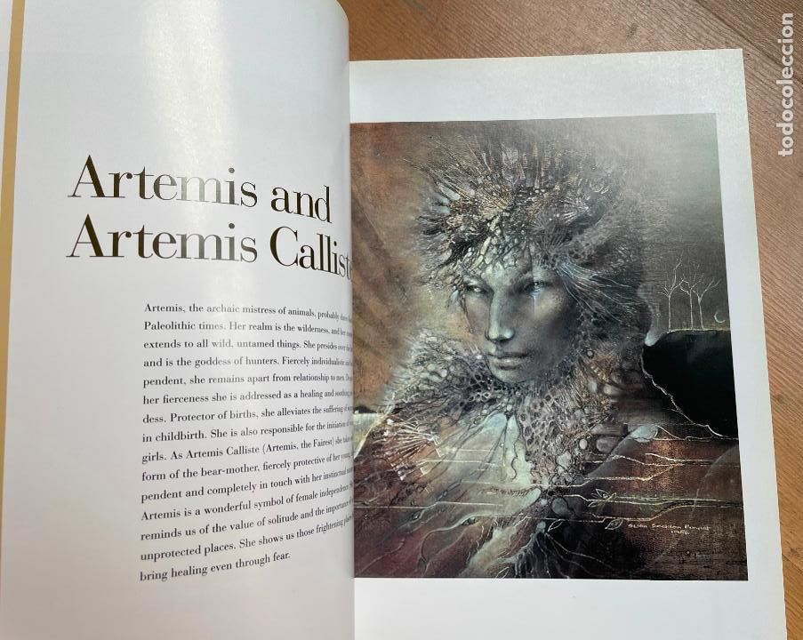 Libros de segunda mano: THE GODDESS PAINTINGS, Susan Seddon Boulet Textos en Ingles - Foto 2