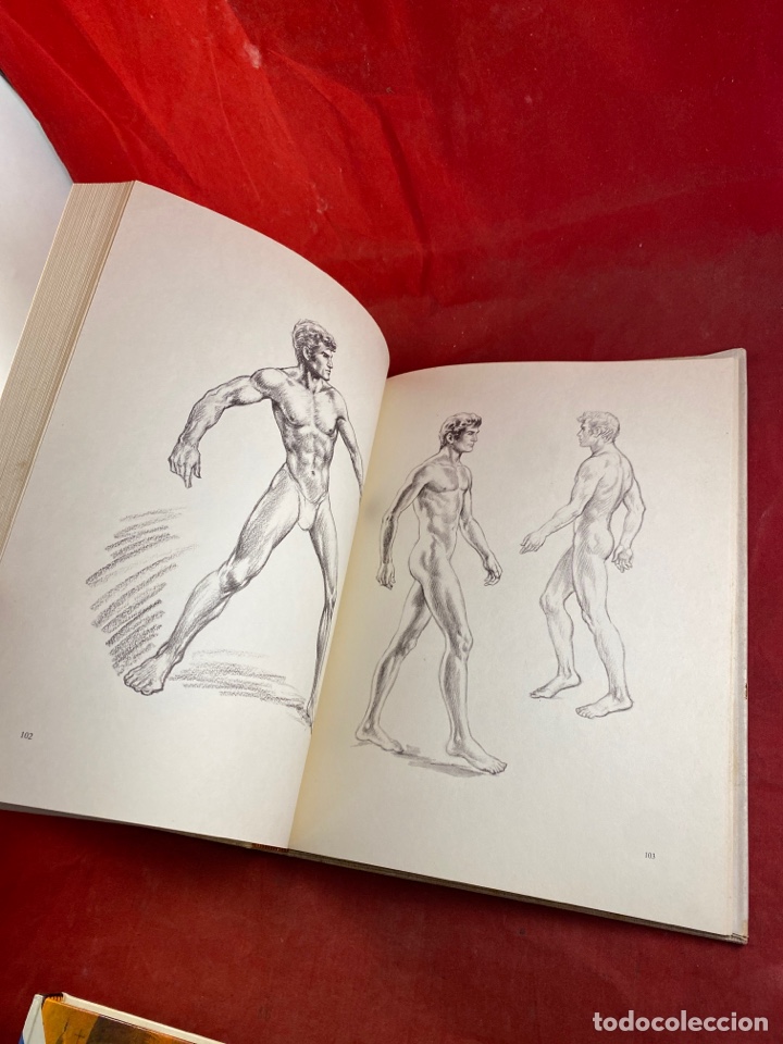 Libros de segunda mano: Dibujando la figura masculina Emilio Freixas - Foto 6