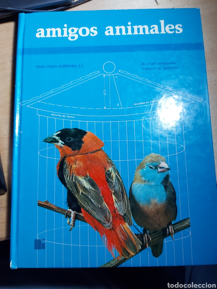 Libros de segunda mano: AMIGOS ANIMALES. MARCEL EVERAERE. IVARS EDITORES - Foto 1