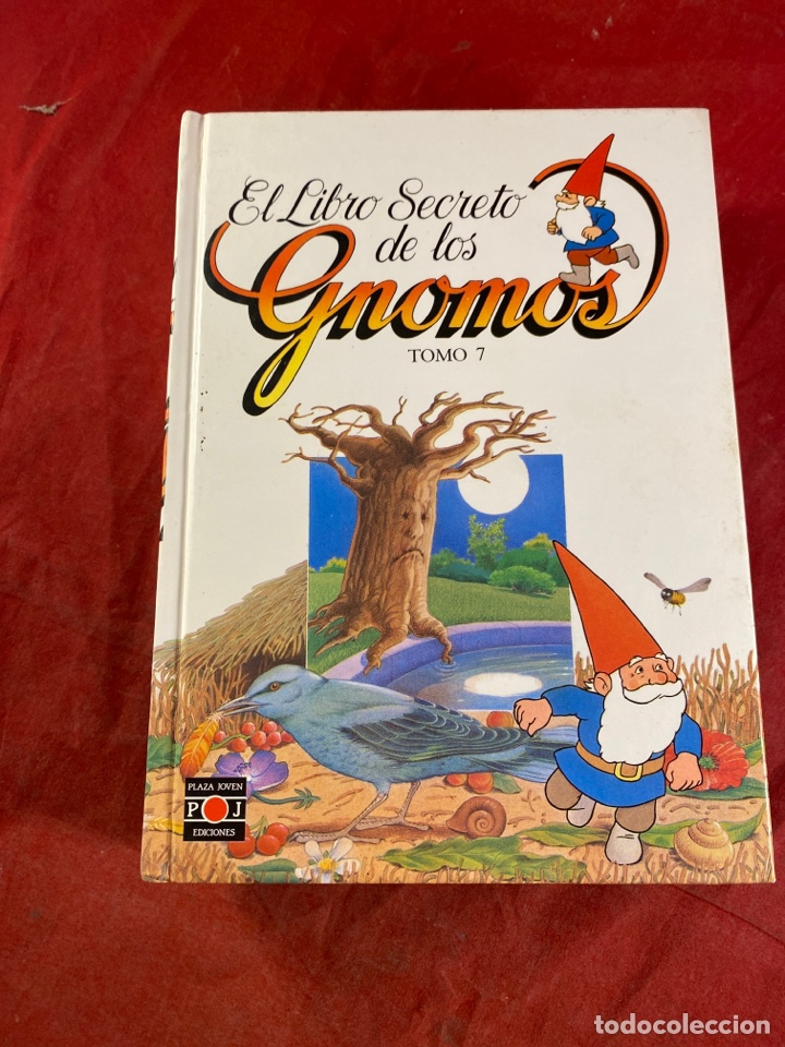 Libros de segunda mano: EL LIBRO SECRETO DE LOS GNOMOS - Foto 6