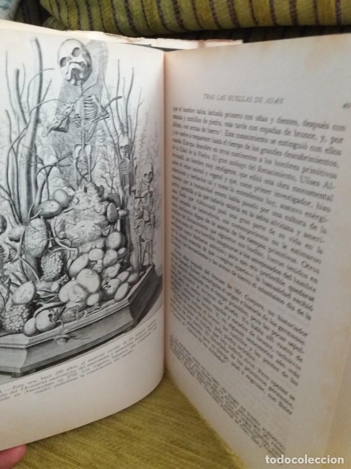 Libros de segunda mano: TRAS LAS HUELLAS DE AD&Aacute;N - Foto 6