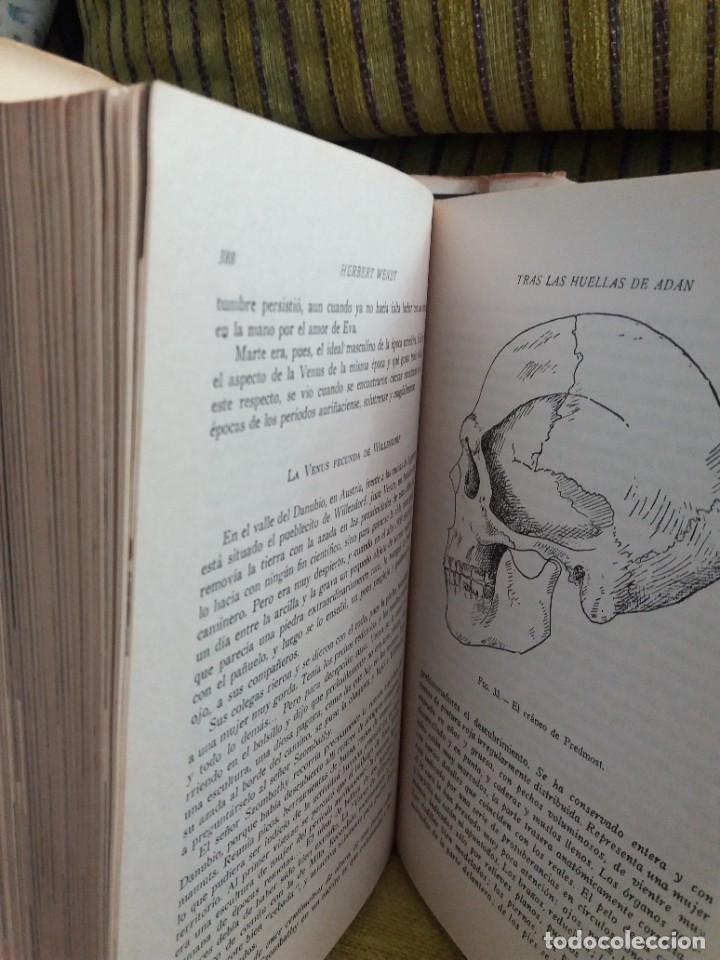 Libros de segunda mano: TRAS LAS HUELLAS DE AD&Aacute;N - Foto 9