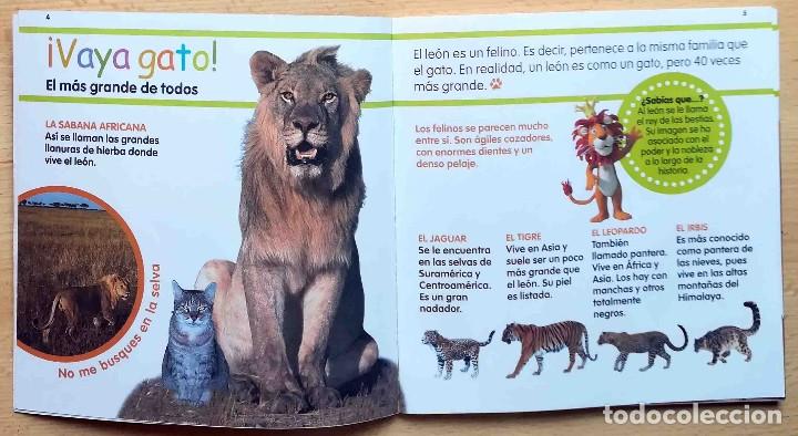 Libros de segunda mano: Mis animales favoritos. El le&oacute;n. El Pa&iacute;s. - Foto 2