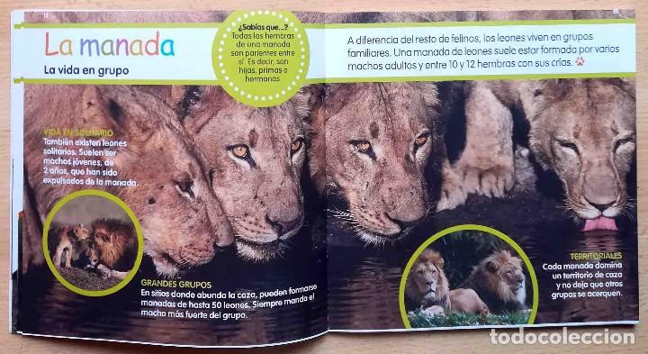 Libros de segunda mano: Mis animales favoritos. El le&oacute;n. El Pa&iacute;s. - Foto 3