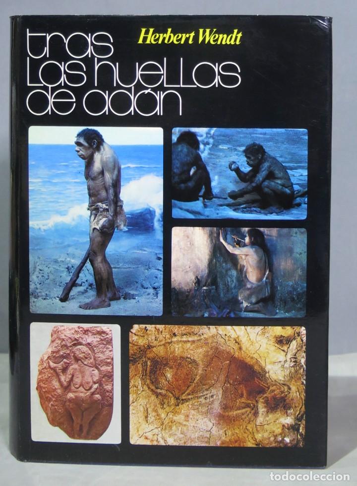 Libros de segunda mano: TRAS LAS HUELLAS DE AD&Aacute;N. HERBERT WENDT - Foto 1