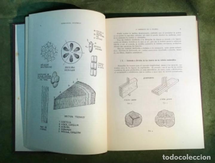 Libros de segunda mano: LA MADERA, E. ANGUERA E. TARRAG&Oacute; - Foto 3