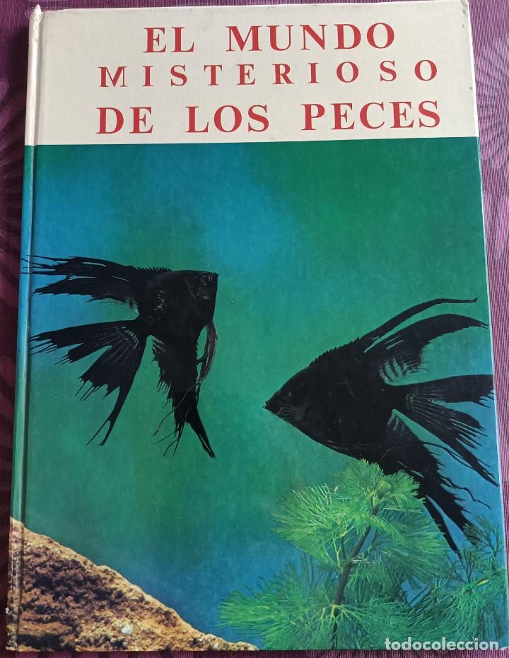 Libros de segunda mano: Libro &rdquo;El Misterioso mundo de los peces&rdquo; - 1978 - Foto 1