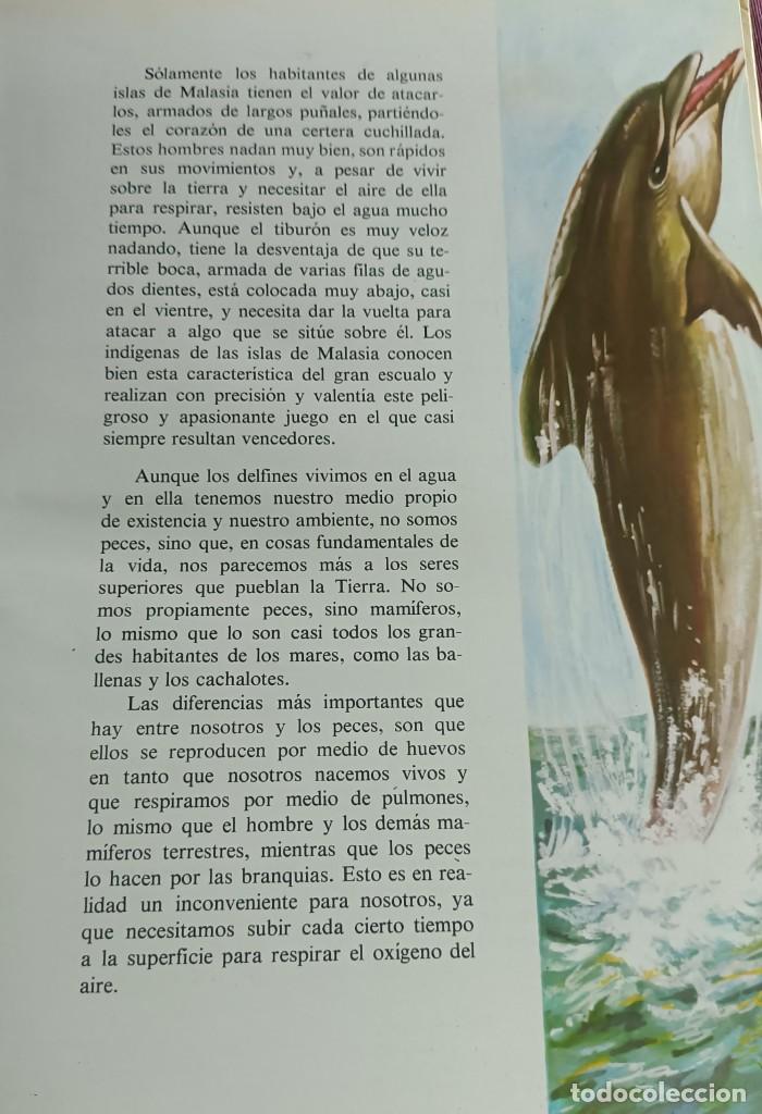 Libros de segunda mano: Libro &rdquo;El Misterioso mundo de los peces&rdquo; - 1978 - Foto 4