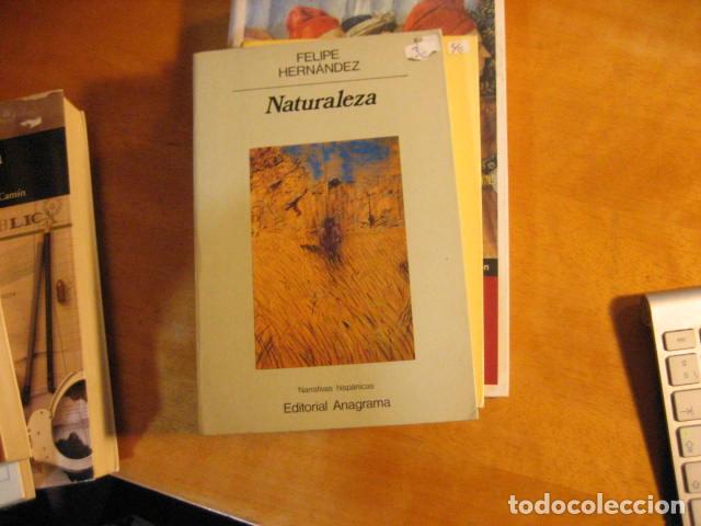 Libros de segunda mano: Felipe Hern&aacute;ndez- Naturaleza- Editorial Anagrama - Foto 1