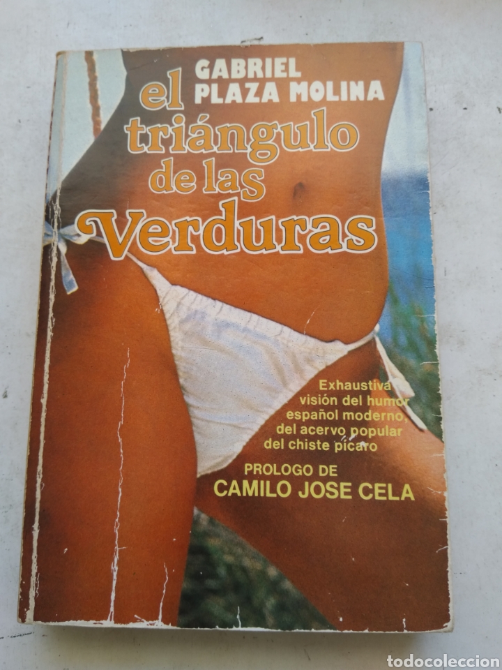 Libros de segunda mano: EL TRIANGULO DE LAS VERDURAS/GABRIEL PLAZA MOLINA - Foto 1