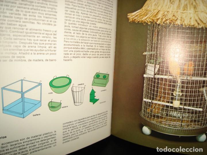 Libros de segunda mano: 26- AMIGOS ANIMALES - MARCEL EVERAERE - Foto 5