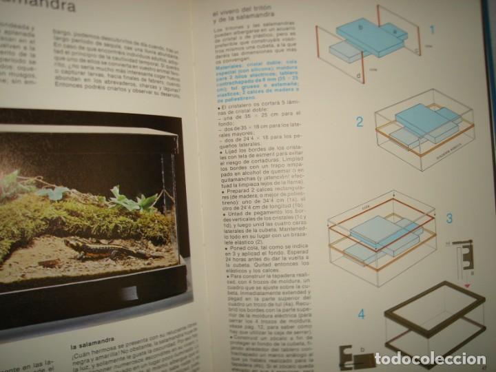 Libros de segunda mano: 26- AMIGOS ANIMALES - MARCEL EVERAERE - Foto 6